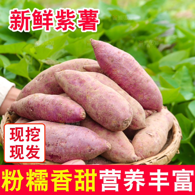 手拿着一篮新鲜紫薯