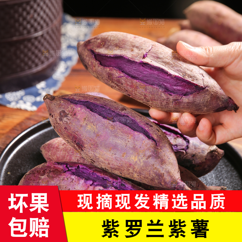 手上拿着紫罗兰紫薯