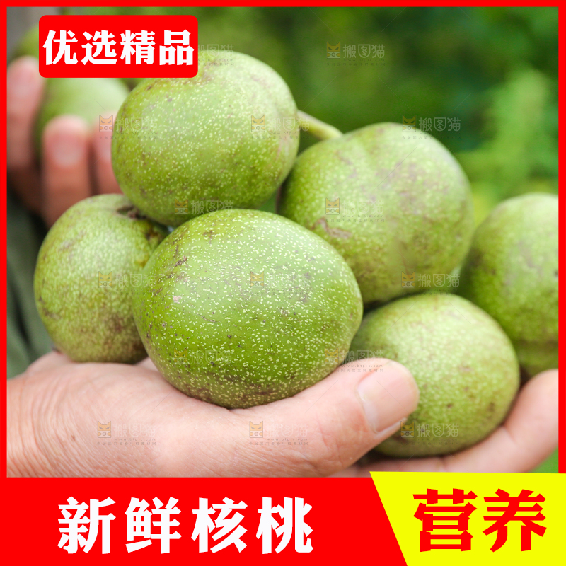 手里捧着青皮核桃
