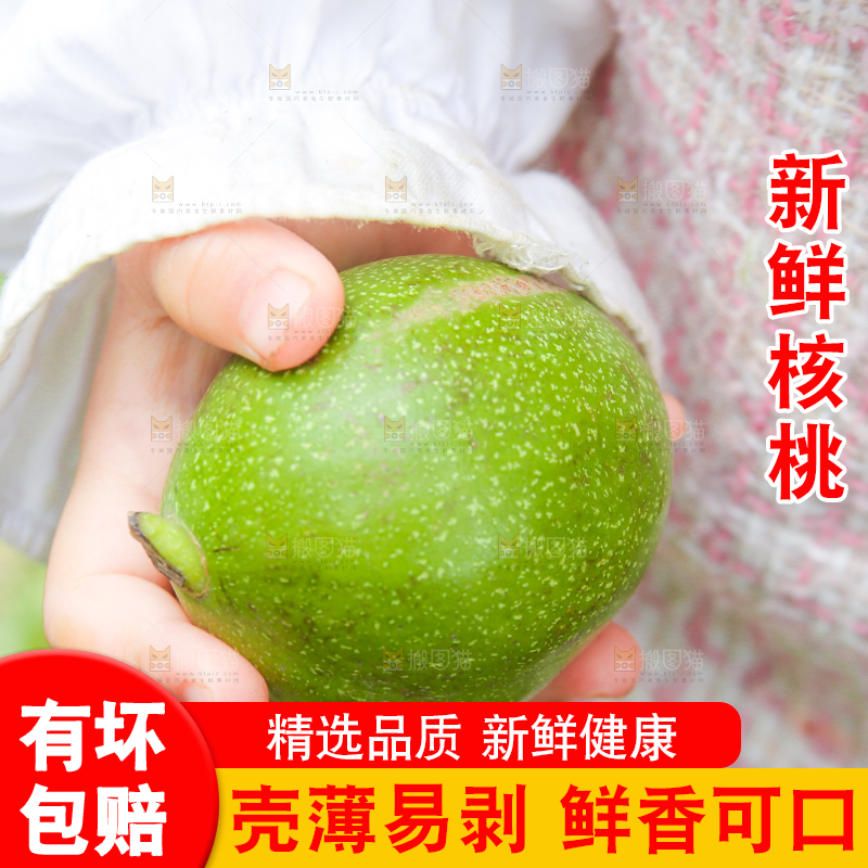 手里拿着青核桃