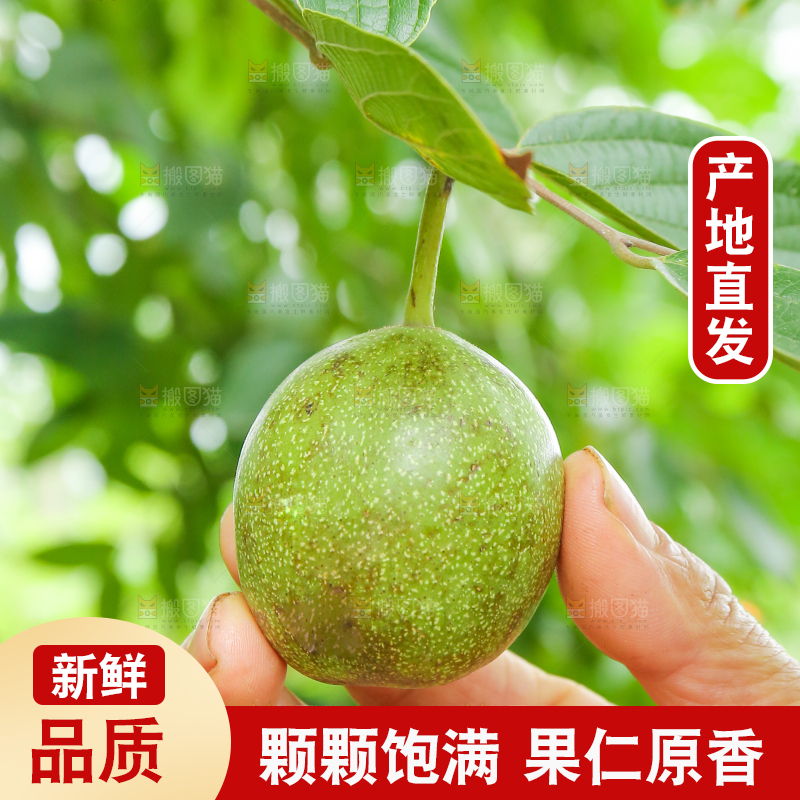 手里拿着青核桃