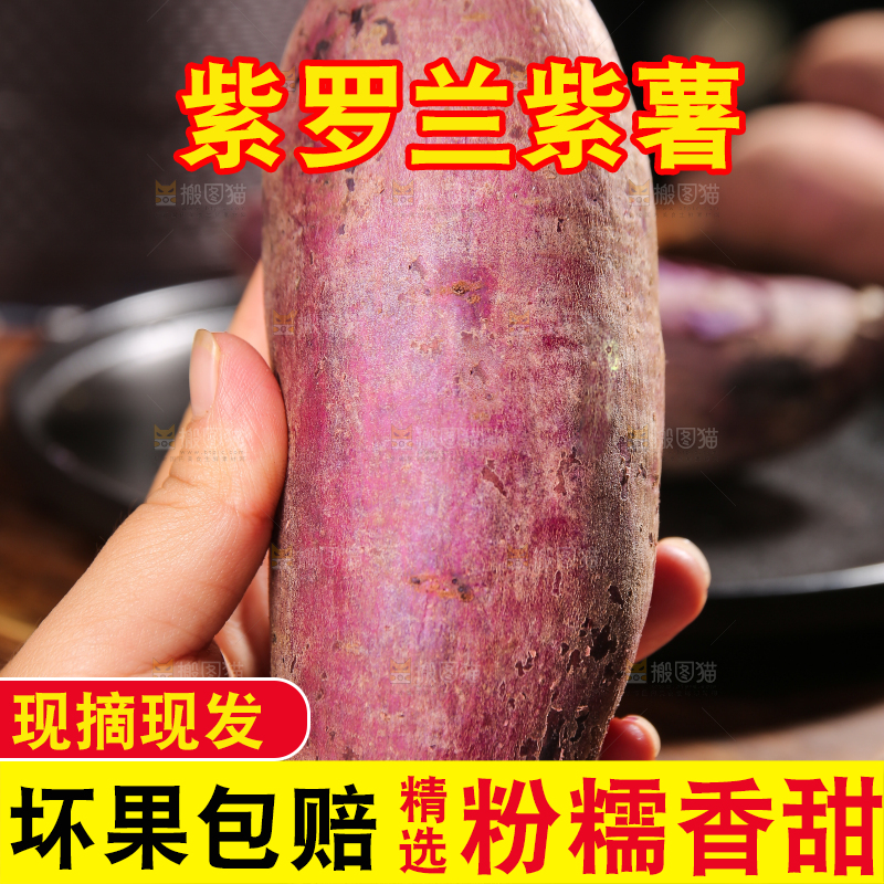手上拿着板栗紫薯