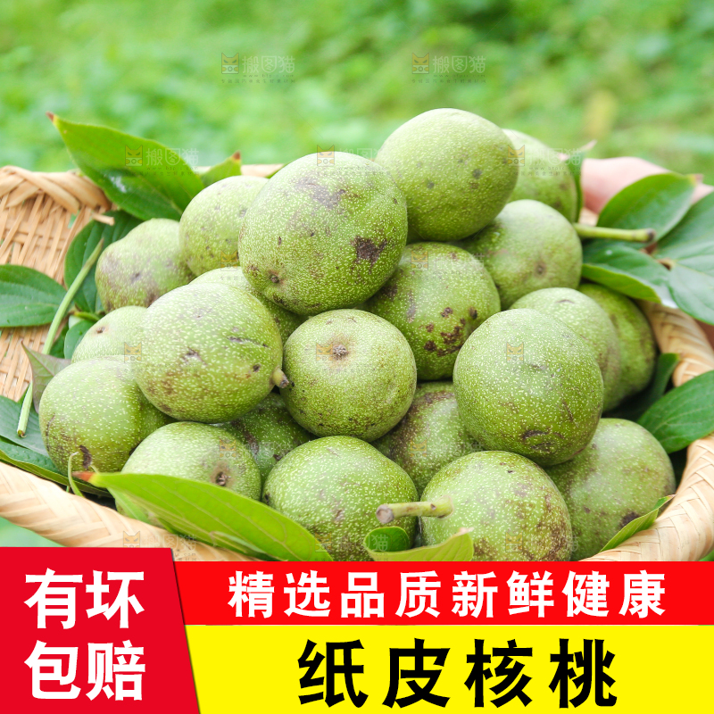 手里拿着一篮青皮核桃