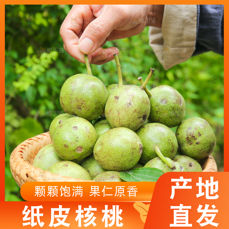 农民手里拿着一篮核桃