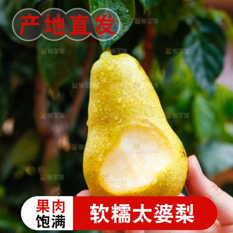 手里拿着新鲜太婆梨