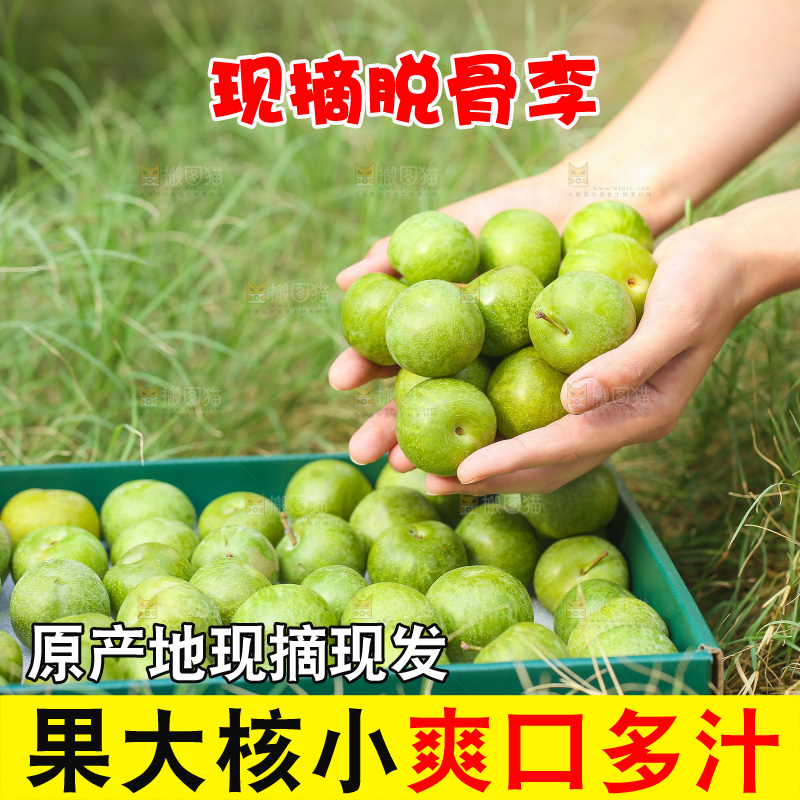 手里捧着脱骨李