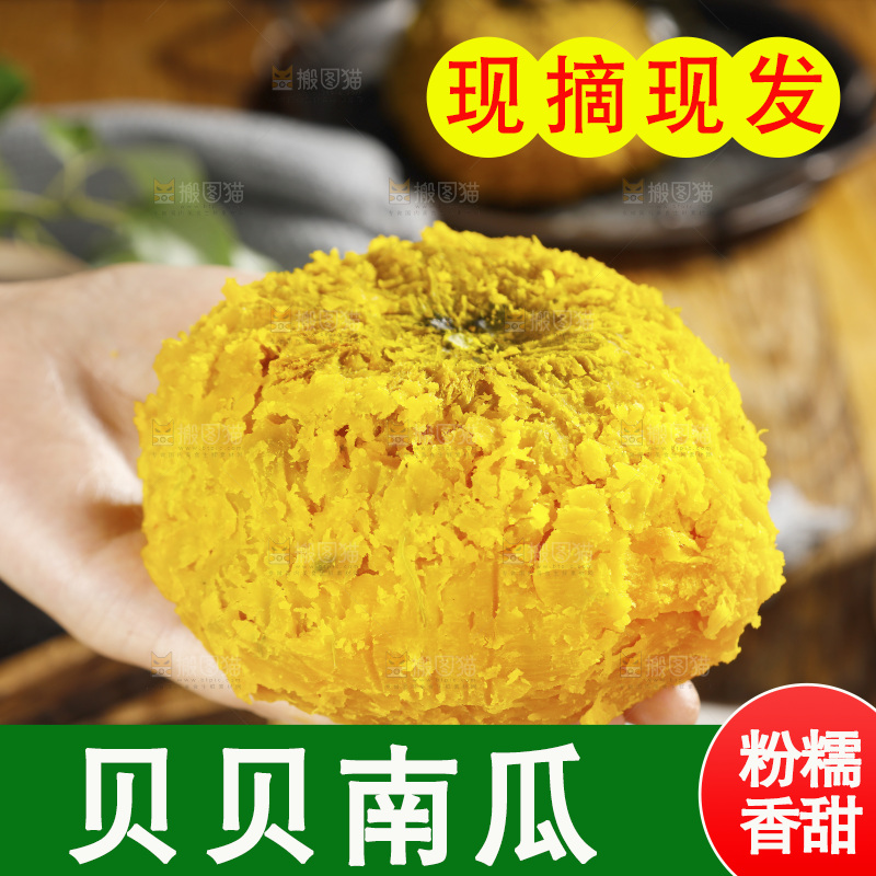 手上放着的板栗南瓜