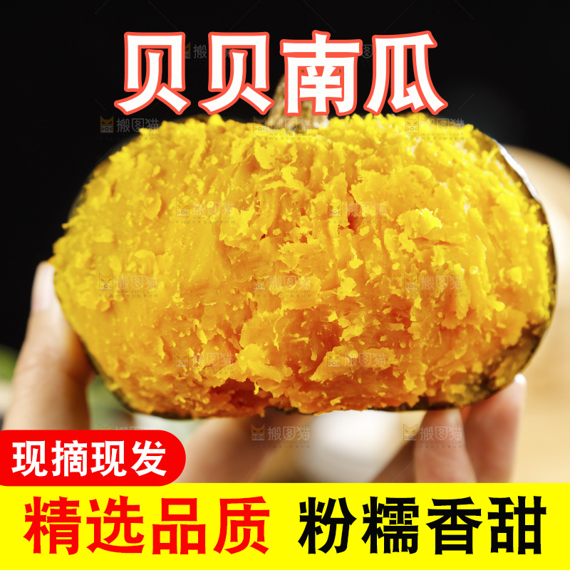 手里拿着的板栗南瓜