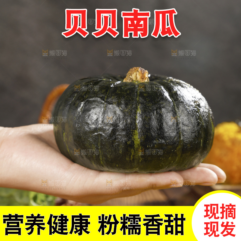 手上放着的板栗南瓜