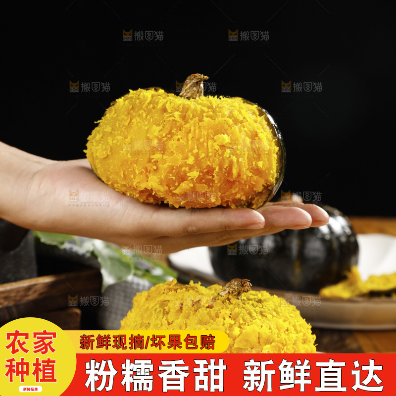 手上放着的板栗南瓜
