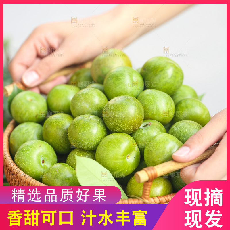手里提着一篮青脆李