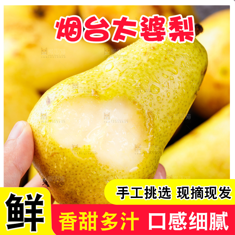 手里拿着山东太婆梨