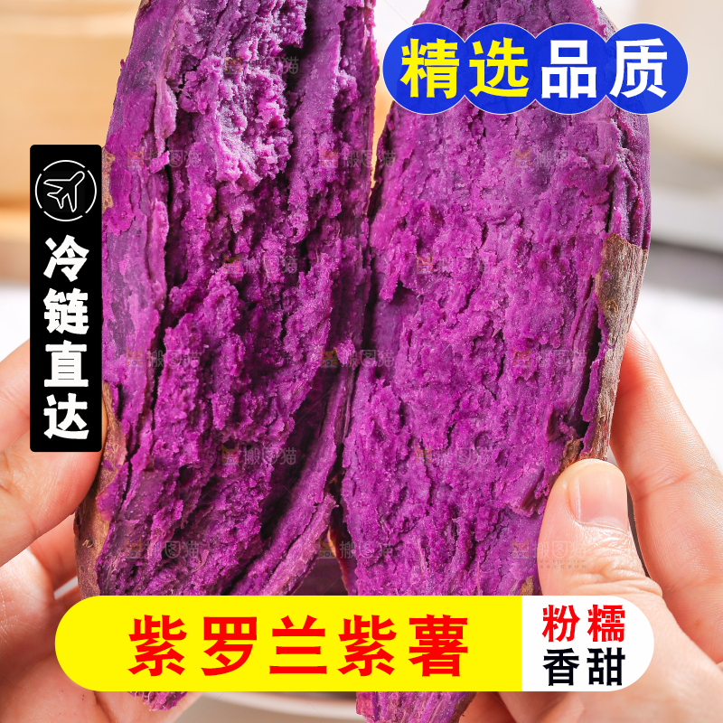 手里拿着山东大紫薯