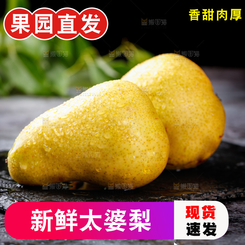 黑石板上的太婆梨