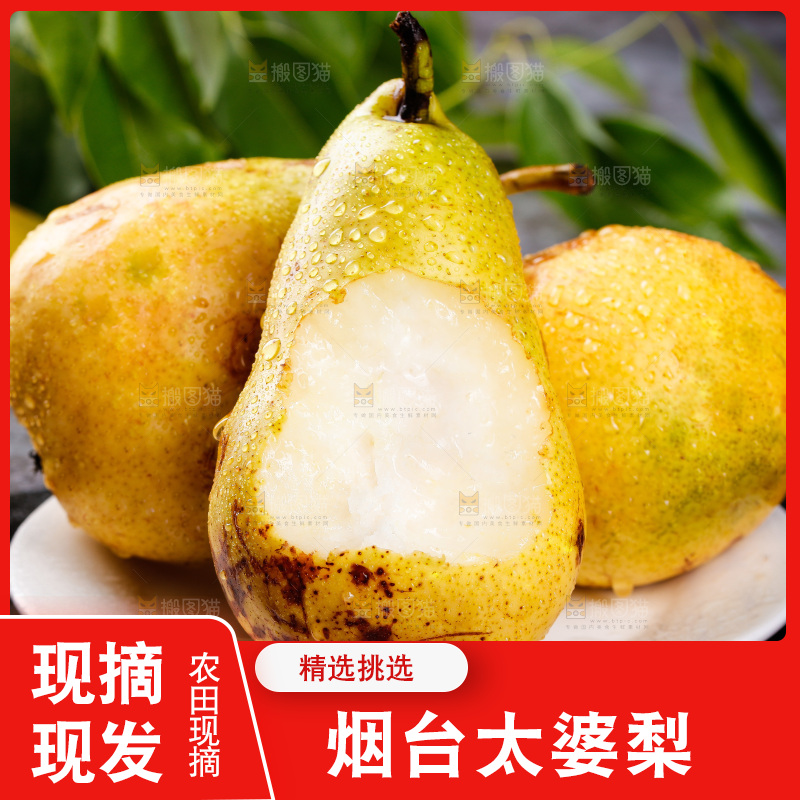 盘子里的烟台太婆梨