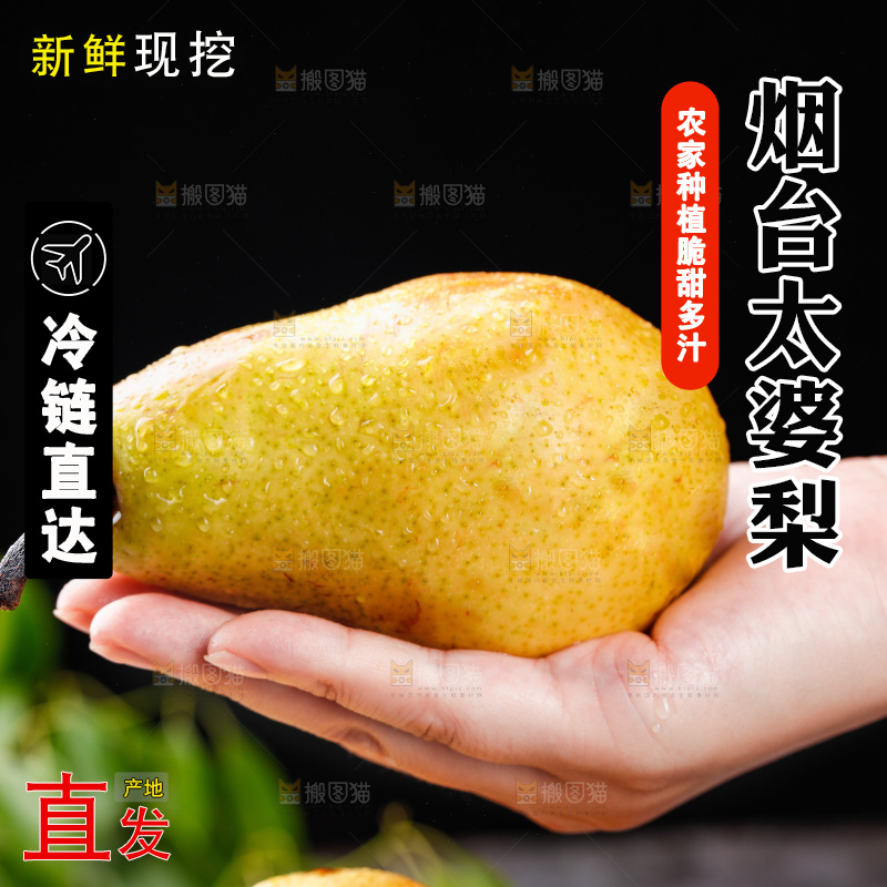 手上放着烟台太婆梨