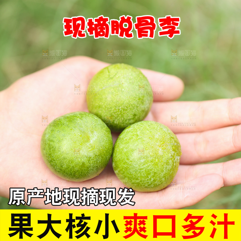 手上放着新鲜脱骨李