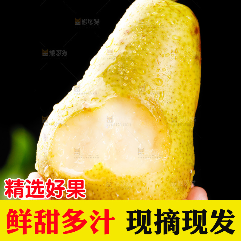 手里拿着山东太婆梨