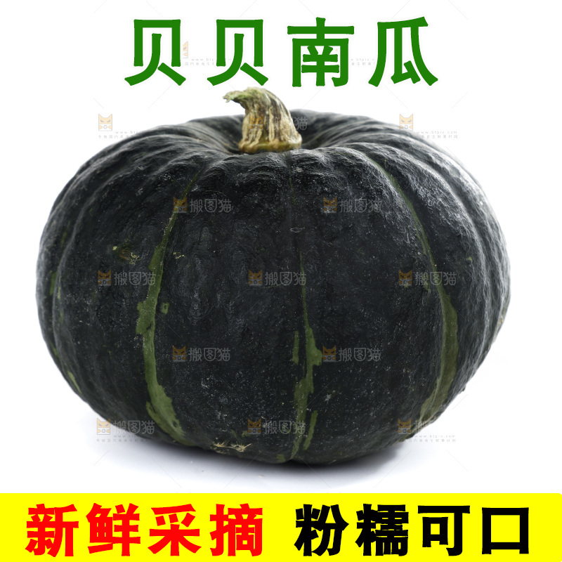白底上放着的贝贝南瓜