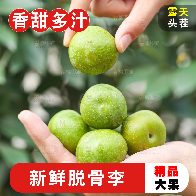 手上放着新鲜脱骨李