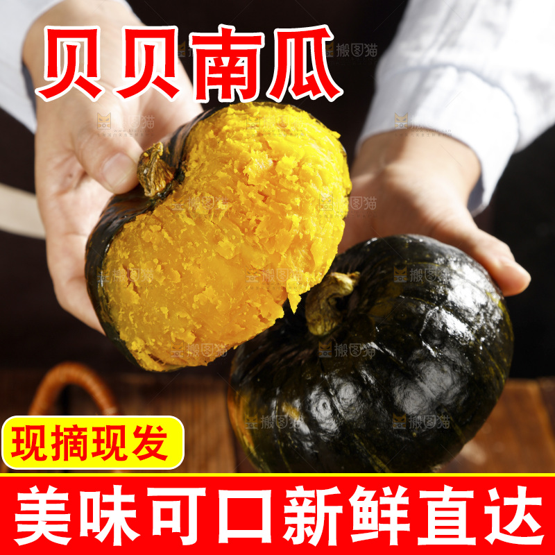 手里拿着的板栗南瓜