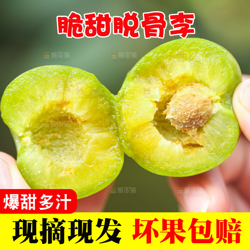 手里拿着掰开的脱骨李