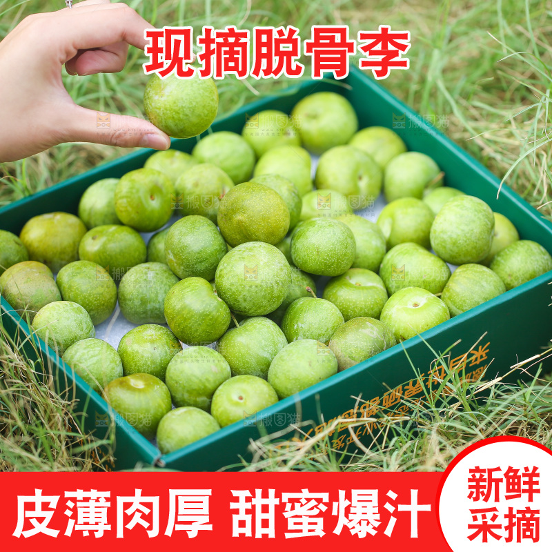 手拿着的脱骨李子