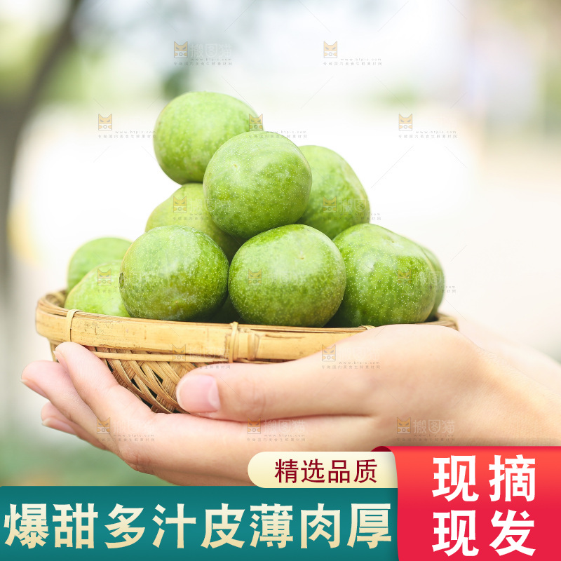 手里捧着一篮青脆李