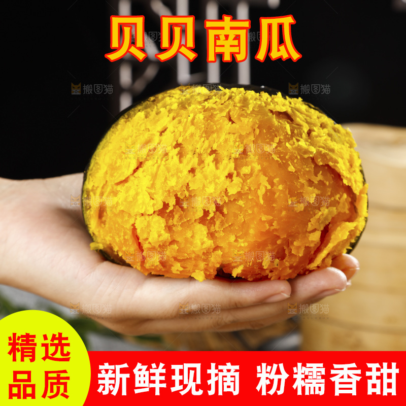 手上放着的板栗南瓜