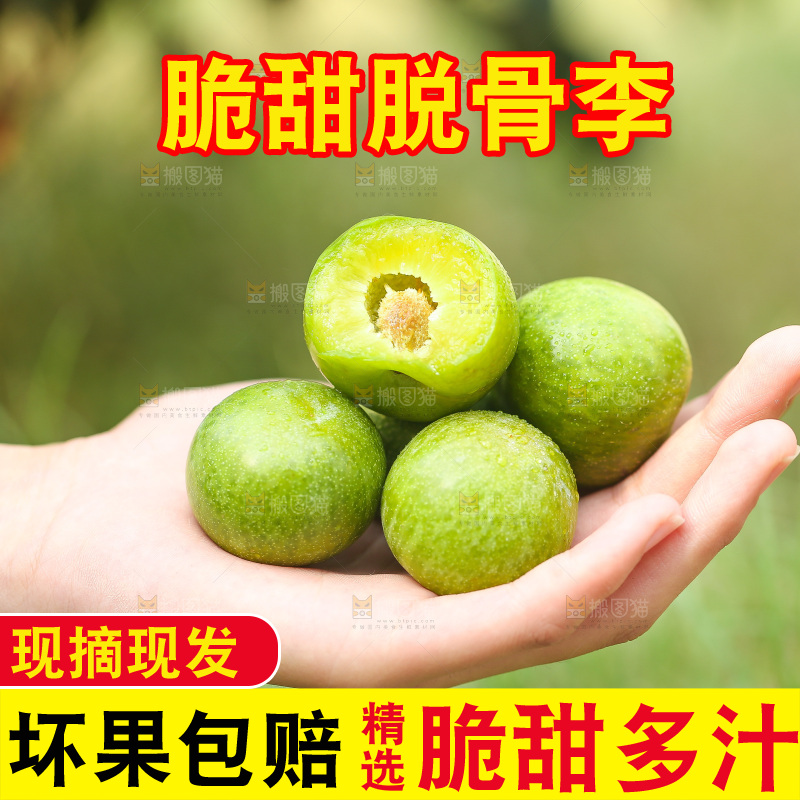 手上放着新鲜脱骨李