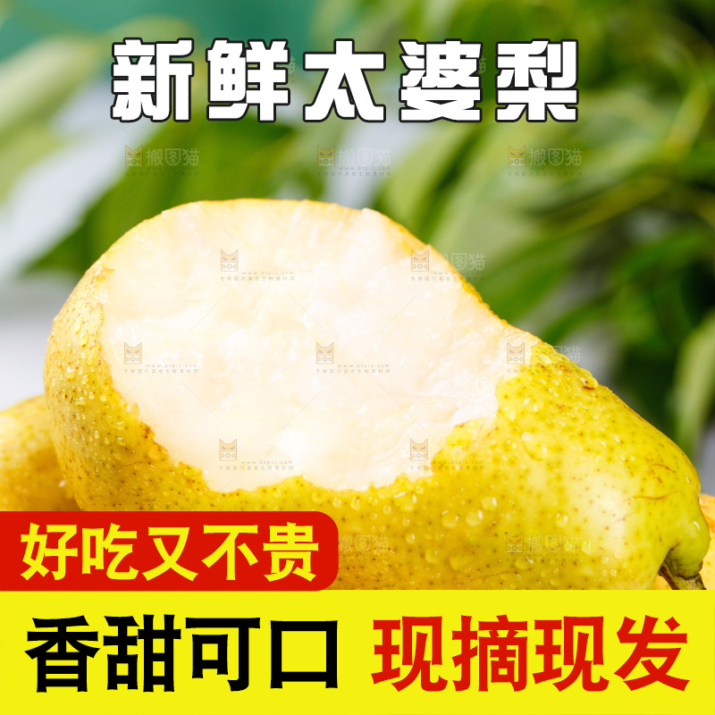 堆放着的太婆梨