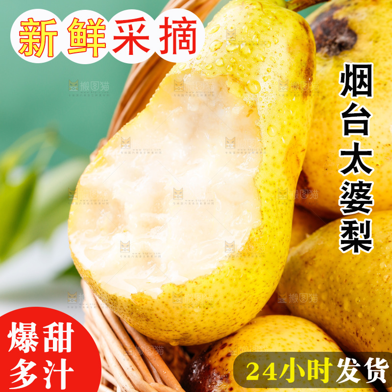篮子里的烟台太婆梨