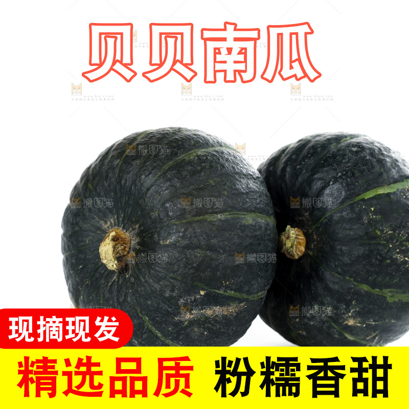 白底上放着的板栗南瓜