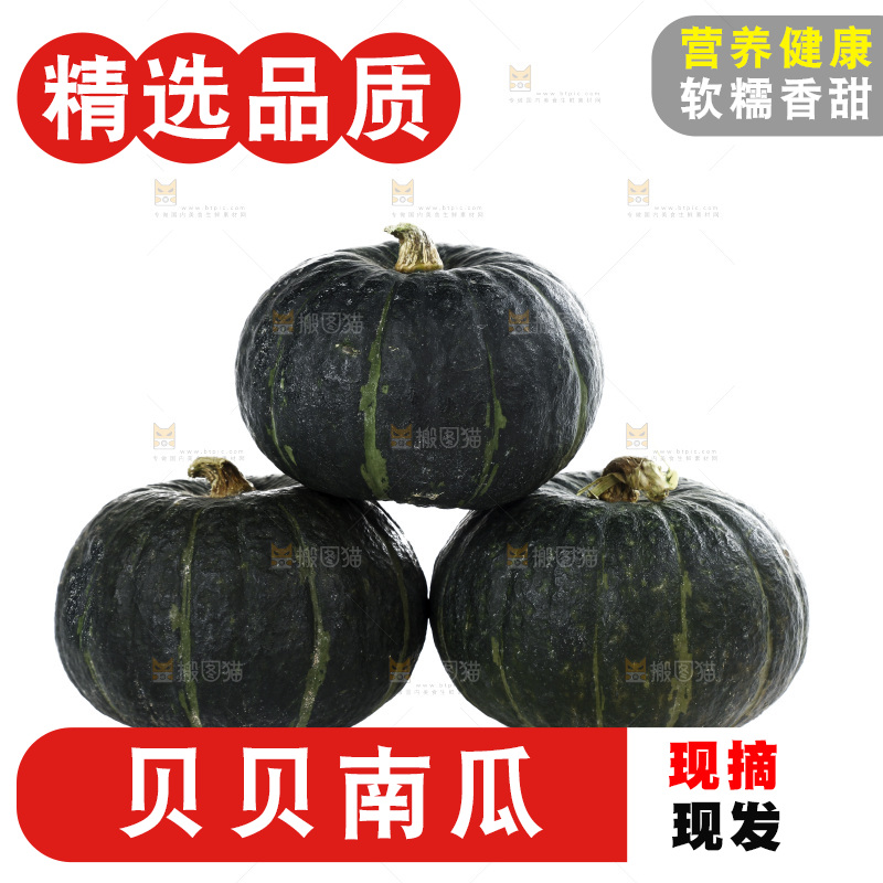 白底上摆放着贝贝南瓜