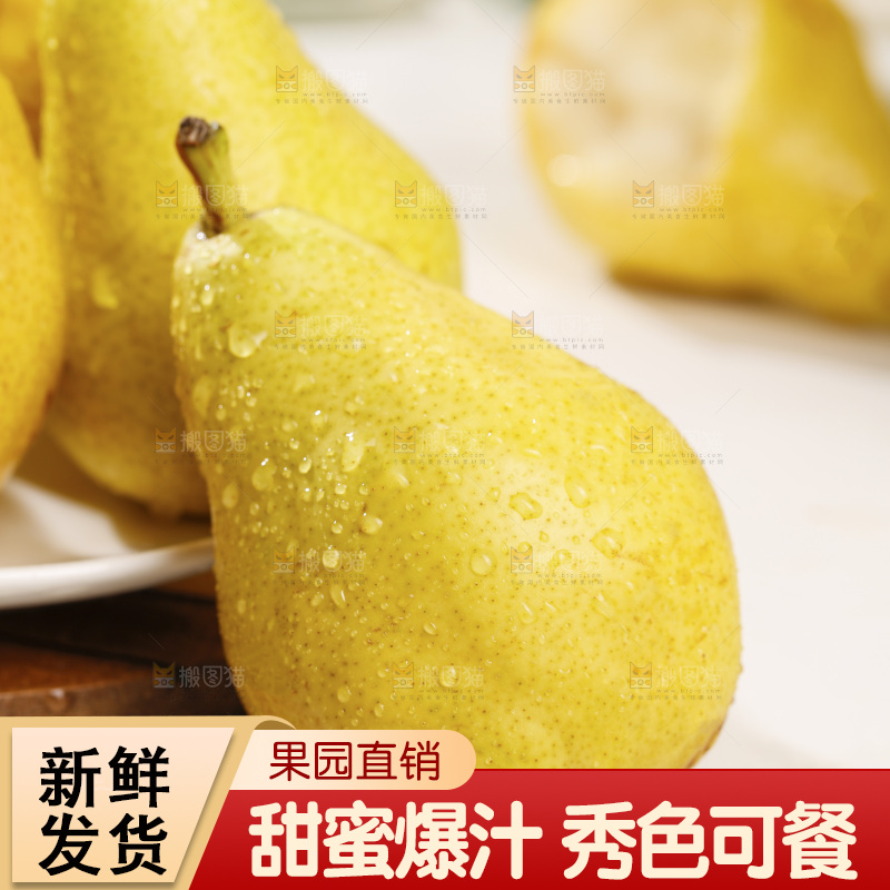 白底上的烟台太婆梨