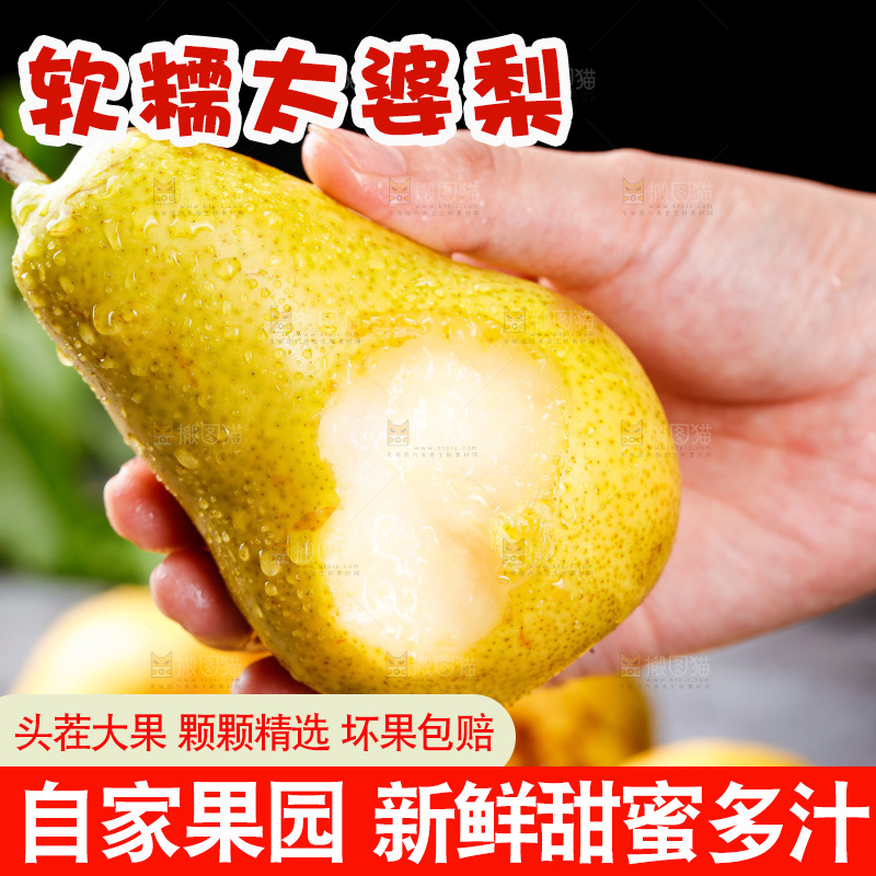 手里拿着山东太婆梨