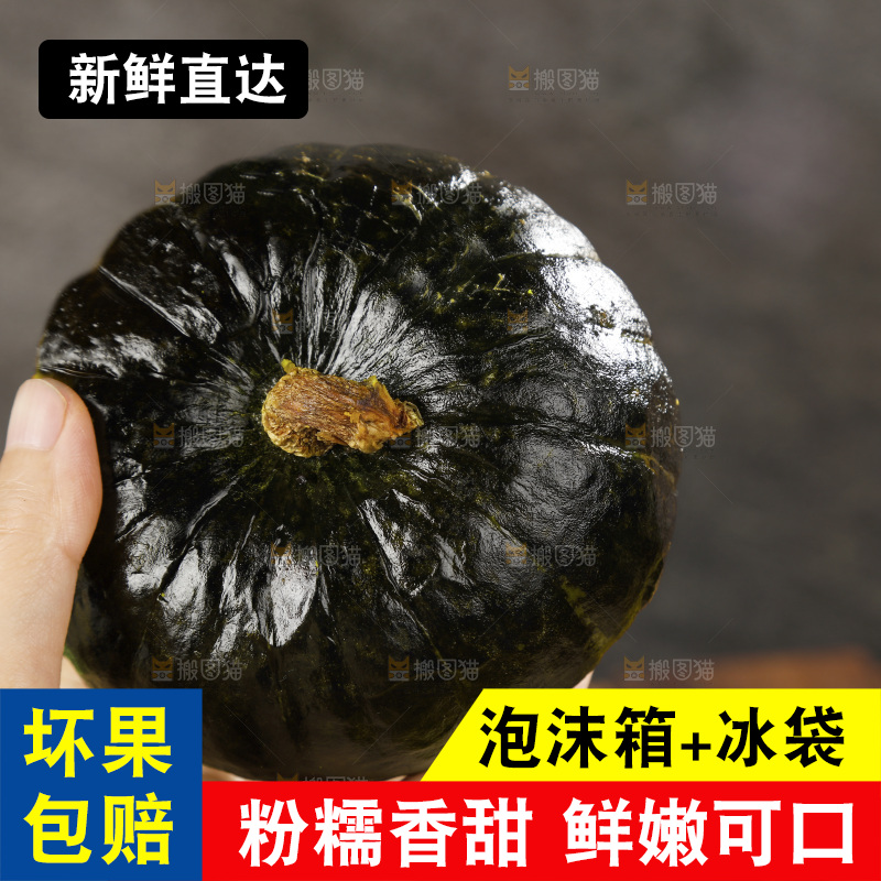 手里拿着的板栗南瓜