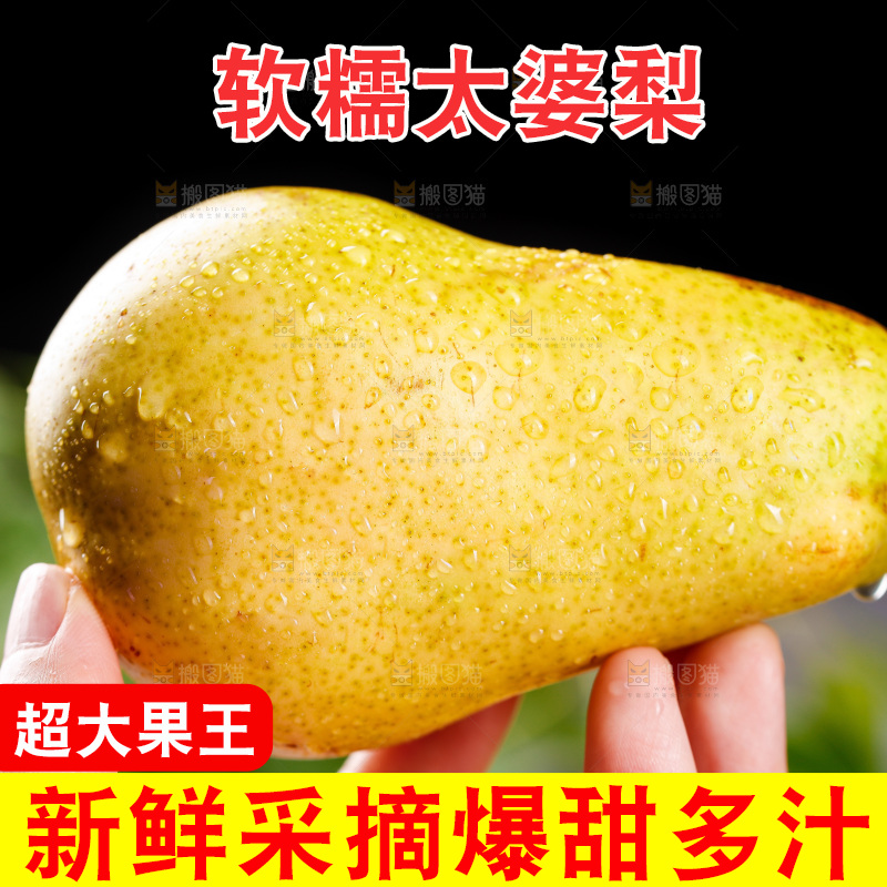 手里放着山东太婆梨