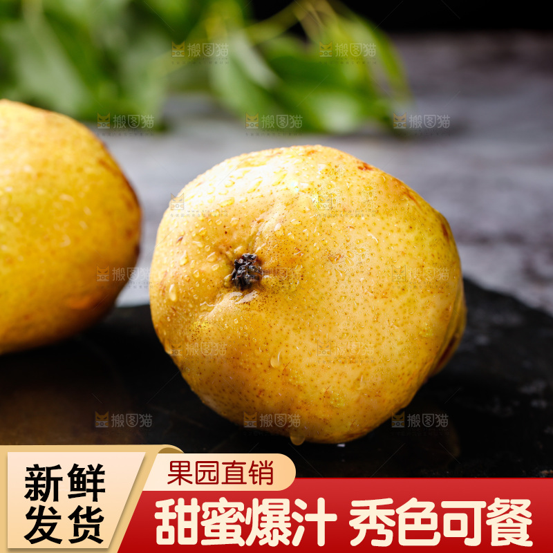黑石板上的太婆梨