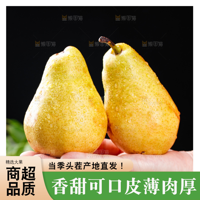 手上放着烟台太婆梨