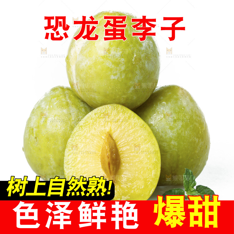 白底上放着新鲜恐龙蛋