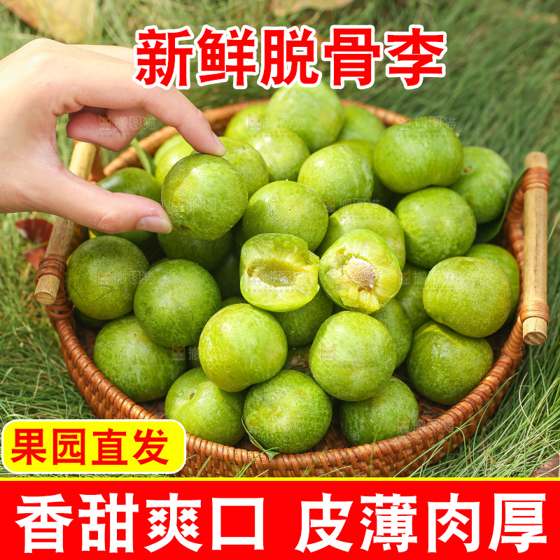 草地上放着一篮脱骨李