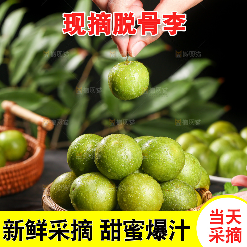 手拿着新鲜脱骨李
