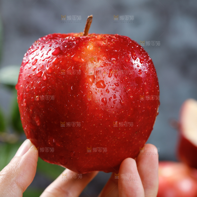 手上拿着单烁苹果