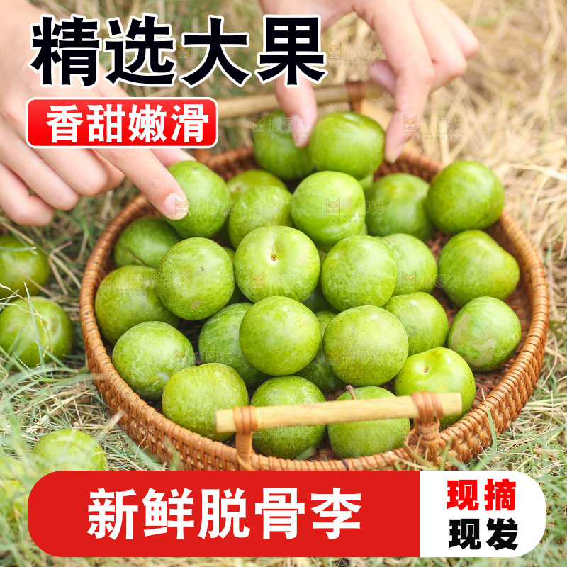 手拿篮子里的青脆李