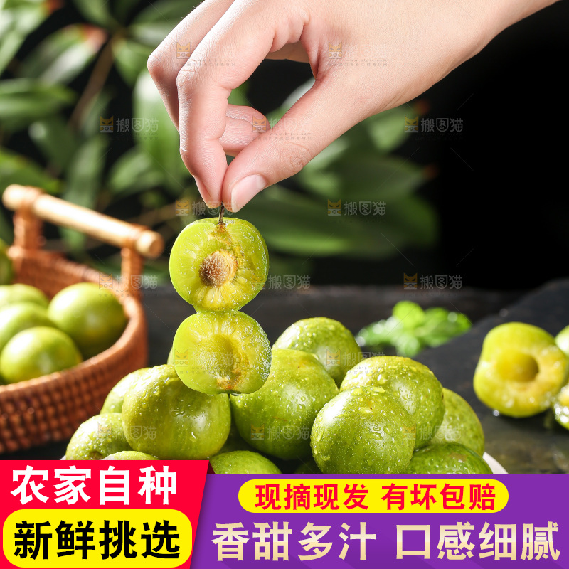 手里拿着新鲜脱骨李