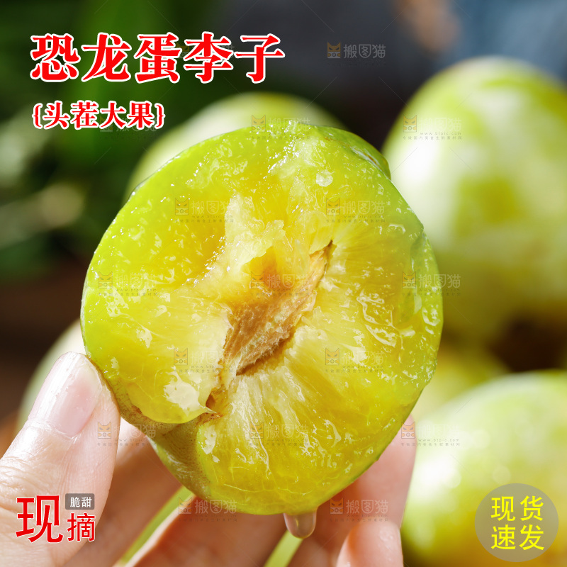 手上拿着恐龙蛋李子