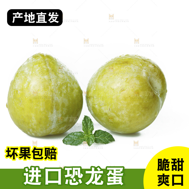 白底上放着新鲜恐龙蛋