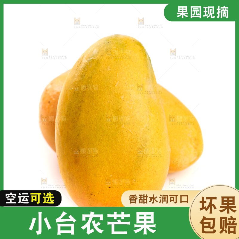 白底上的小台芒