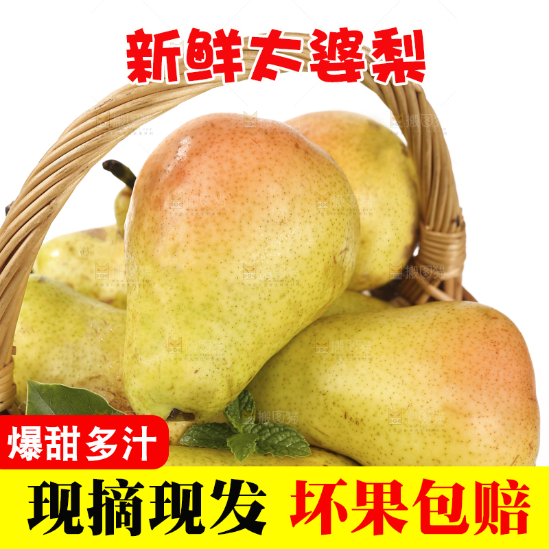 白底上的一篮烟台太婆梨